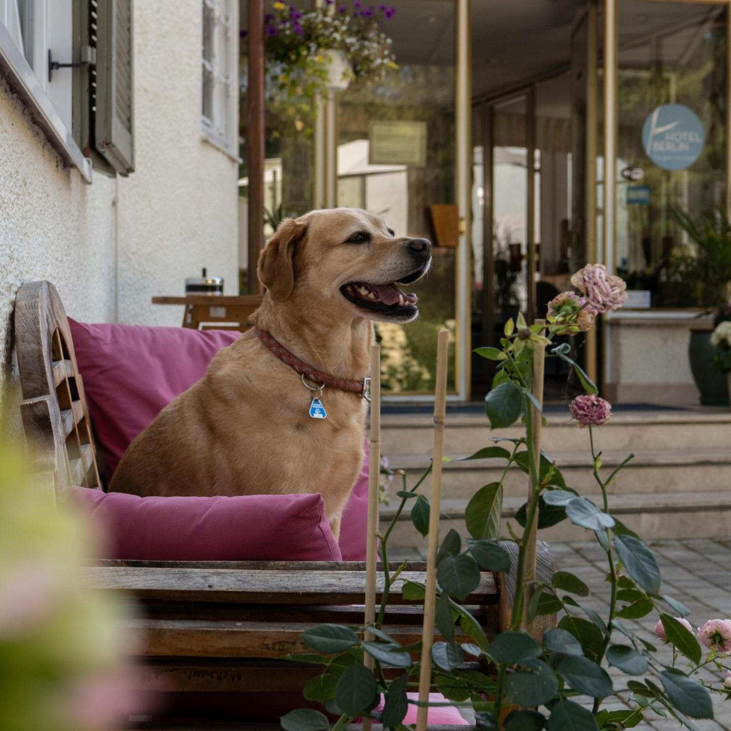 Hotel Berlin Tegernsee Rottach-Egern Zewnętrze zdjęcie