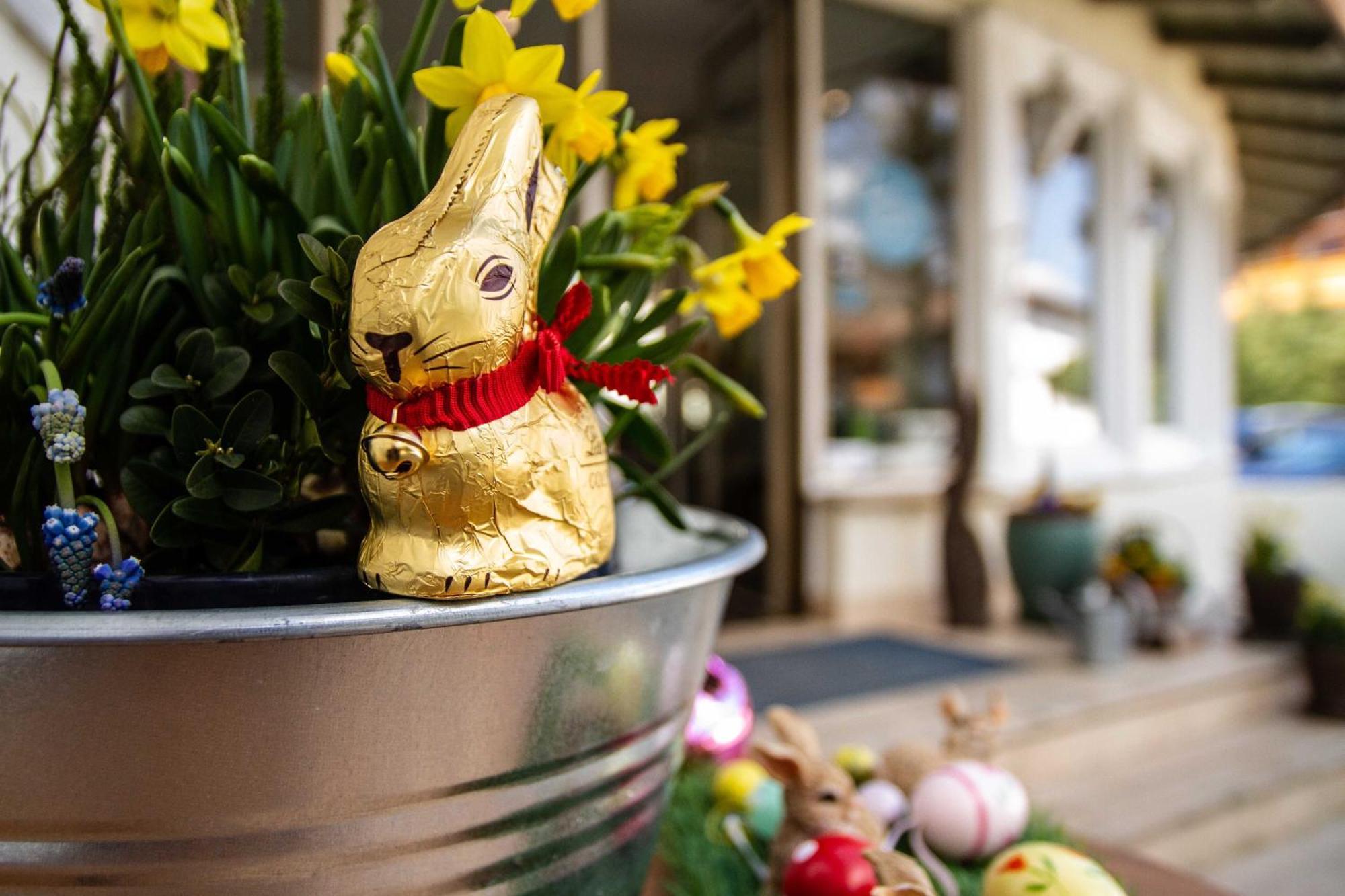 Hotel Berlin Tegernsee Rottach-Egern Zewnętrze zdjęcie